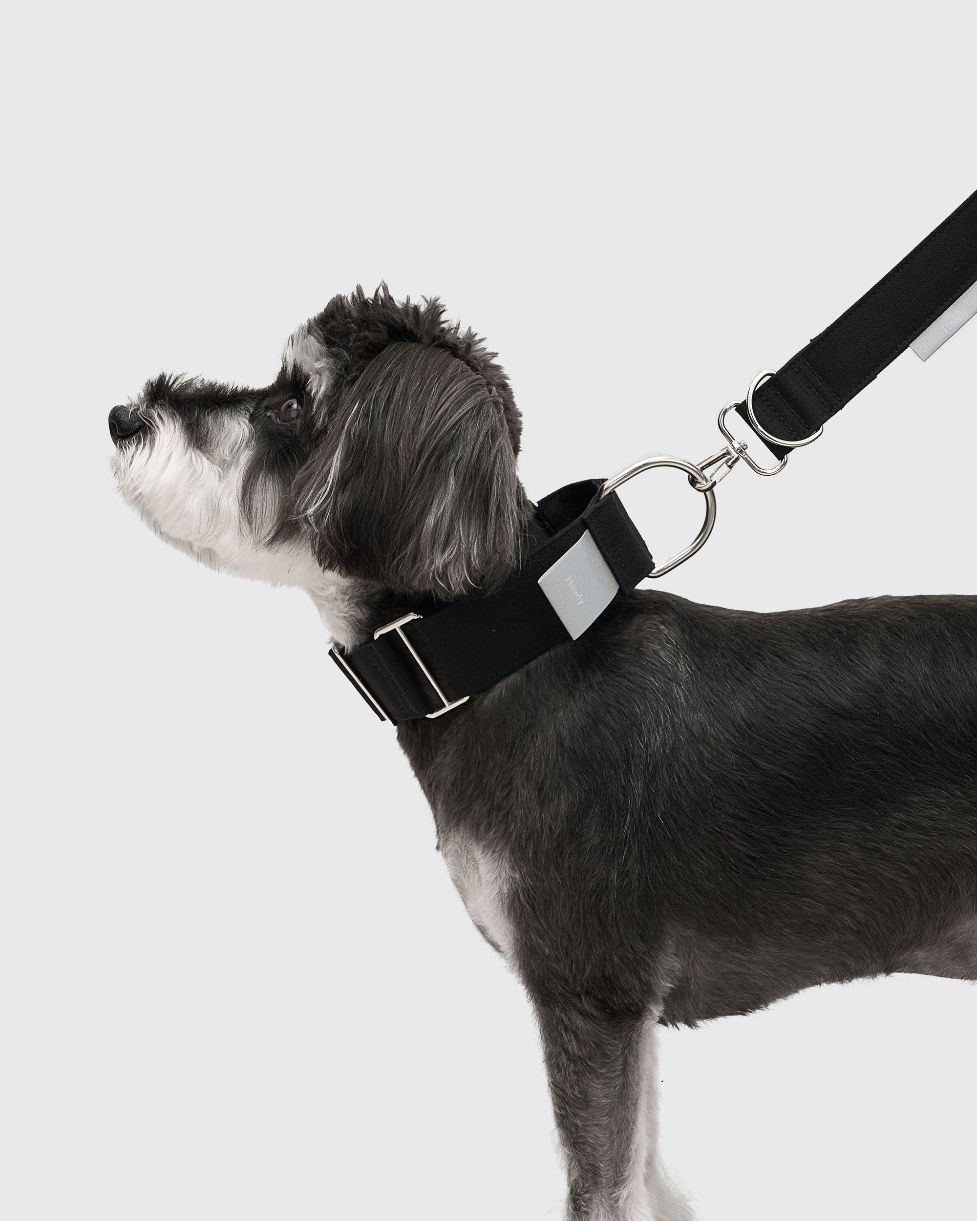 HOWLY UNIVERSAL COLLAR
