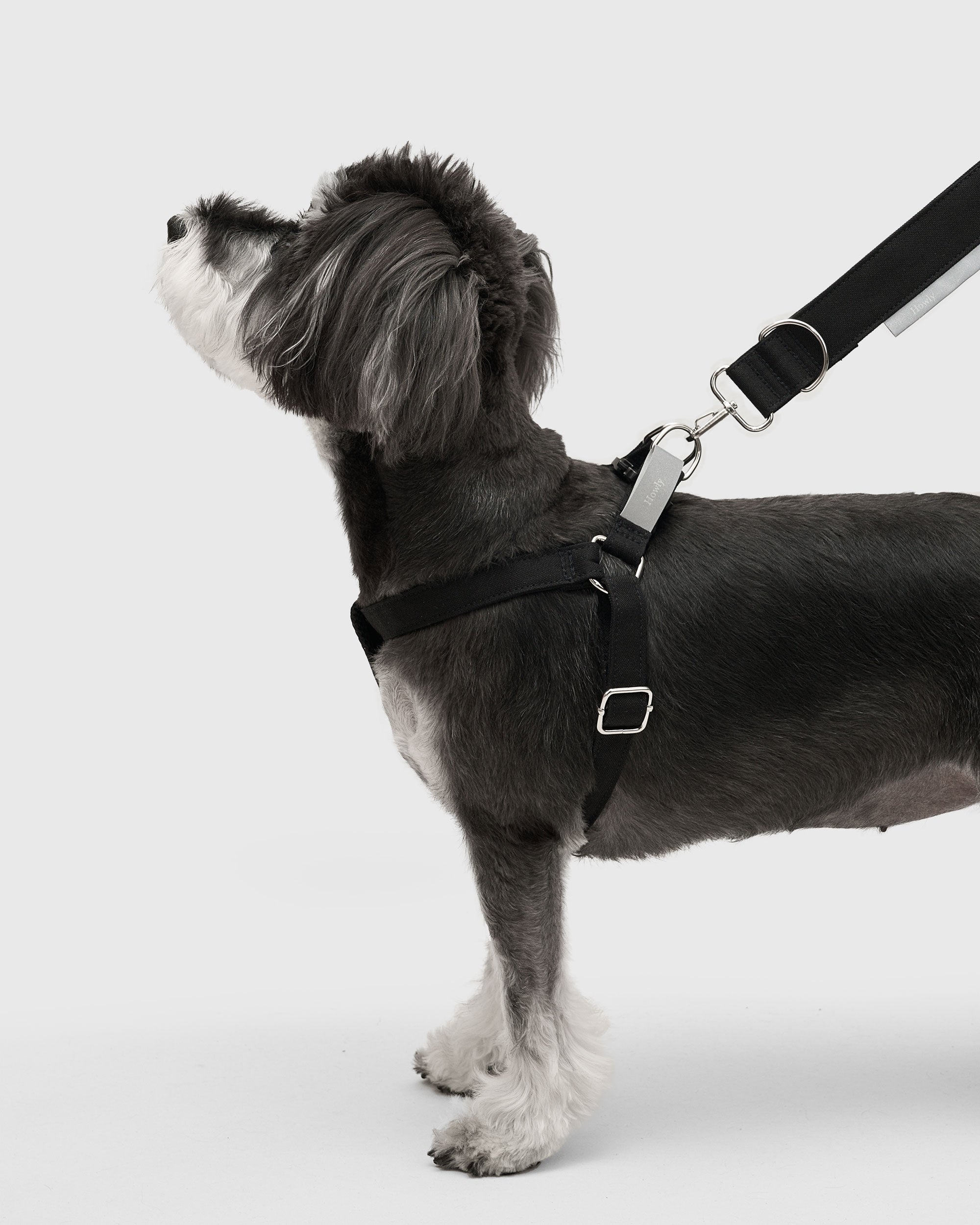 HOWLY UNIVERSAL HARNESS