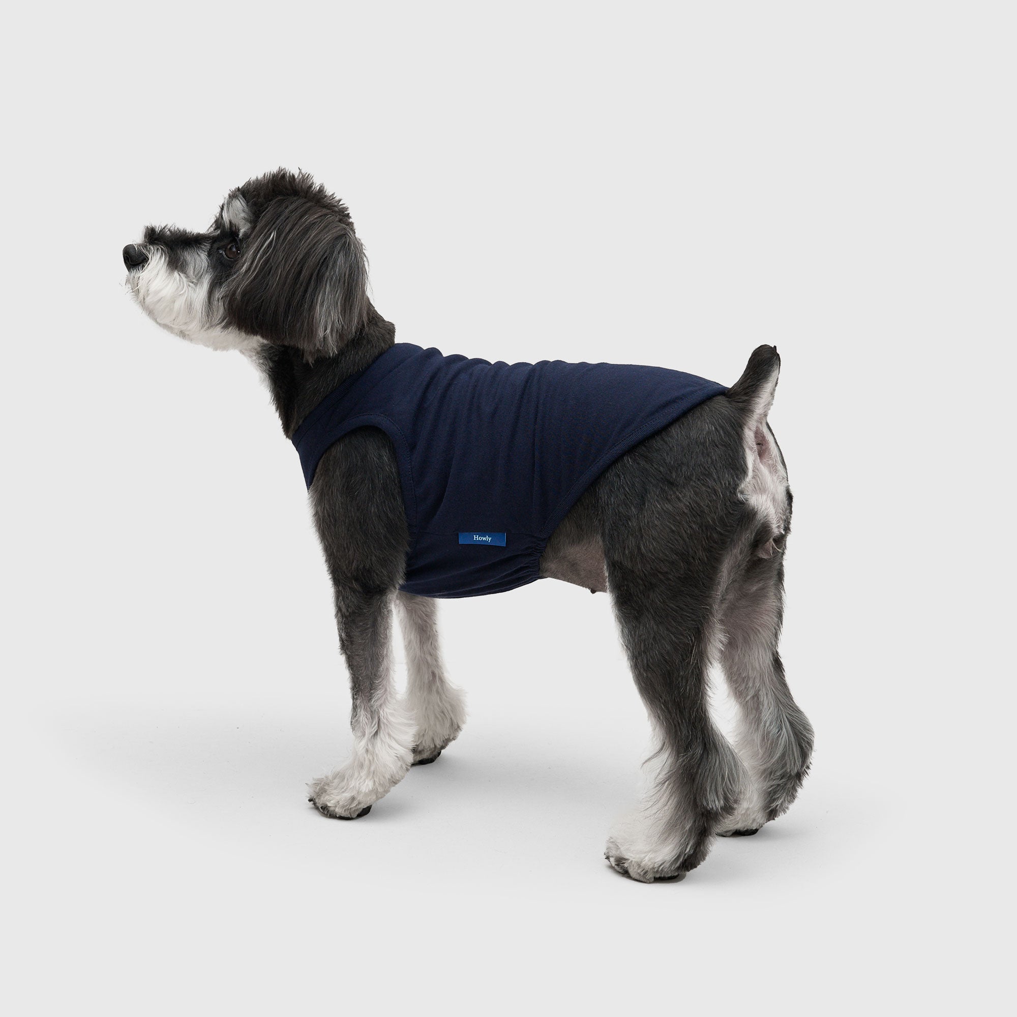 DOG PACK T-SHIRTS sleeveless (Green)