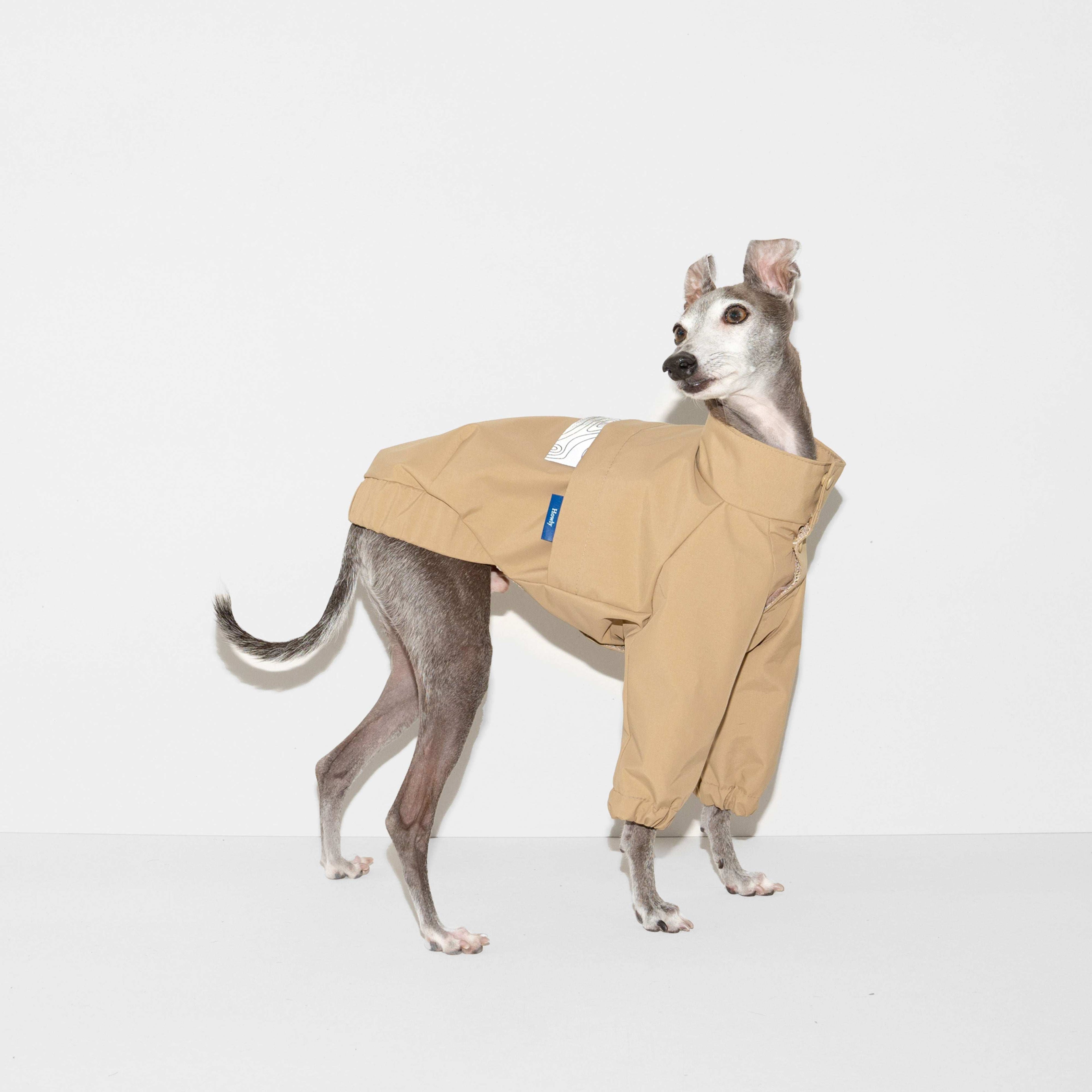 FRENCH POLICE WATER PROOF JKT