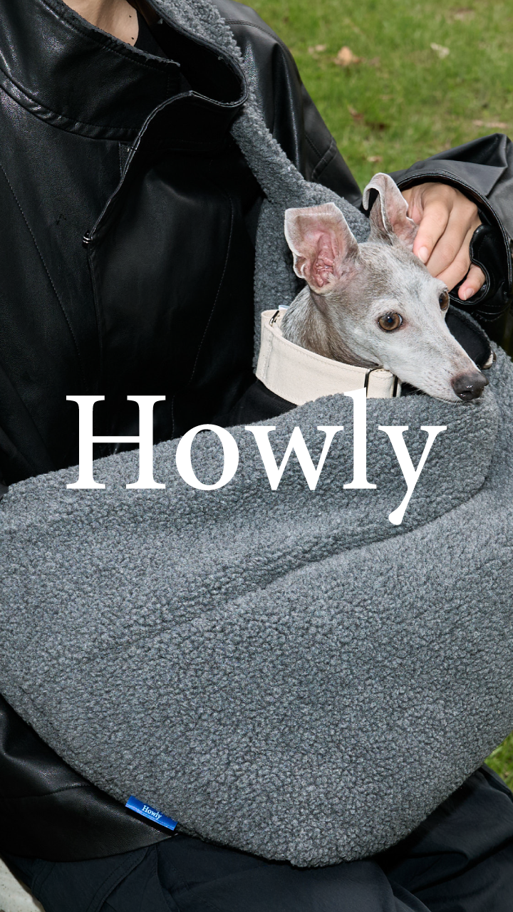 Howly Official Online Shop | New Standard for Dogs | MADE IN JAPAN