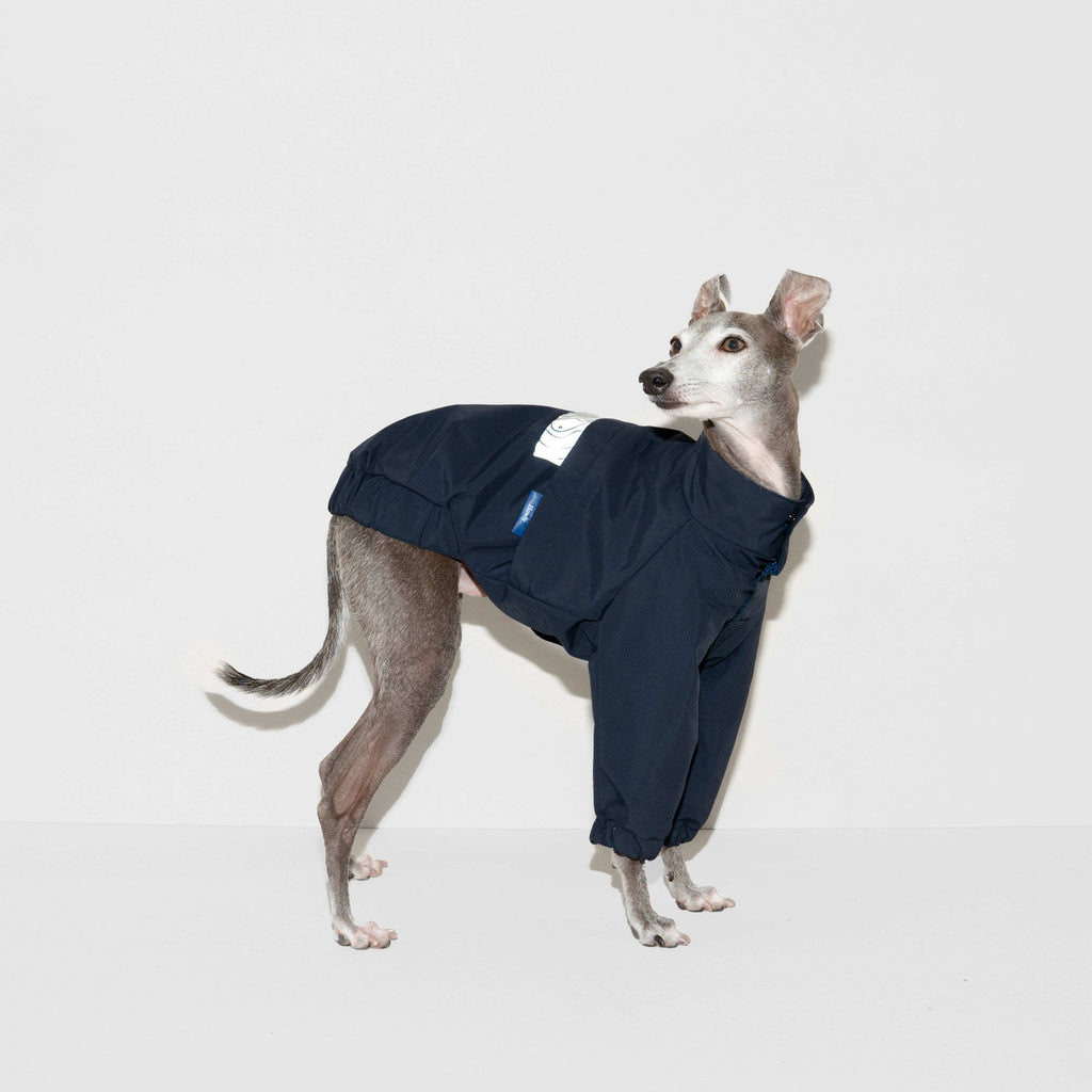 FRENCH POLICE WATER PROOF JKT