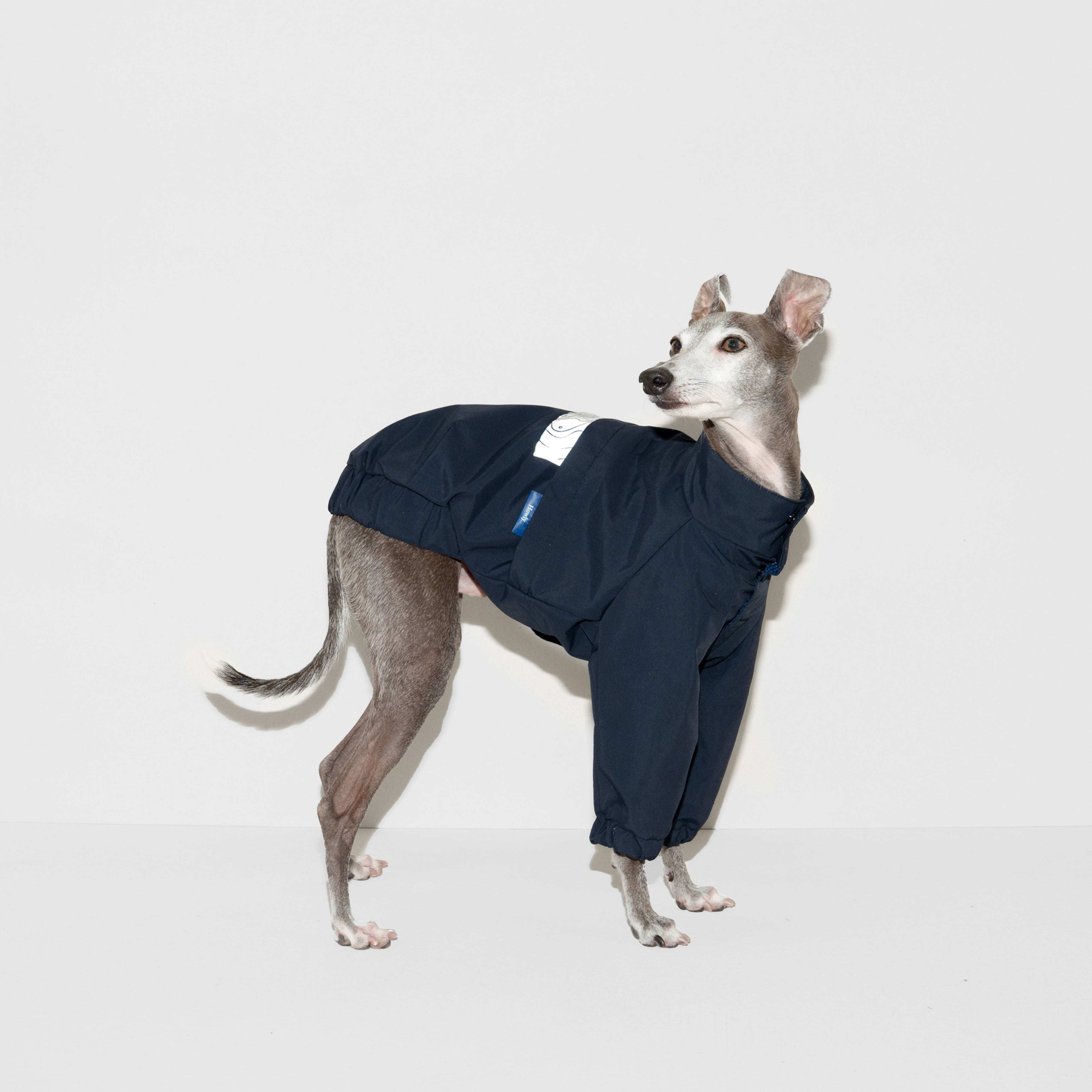 FRENCH POLICE WATER PROOF JKT