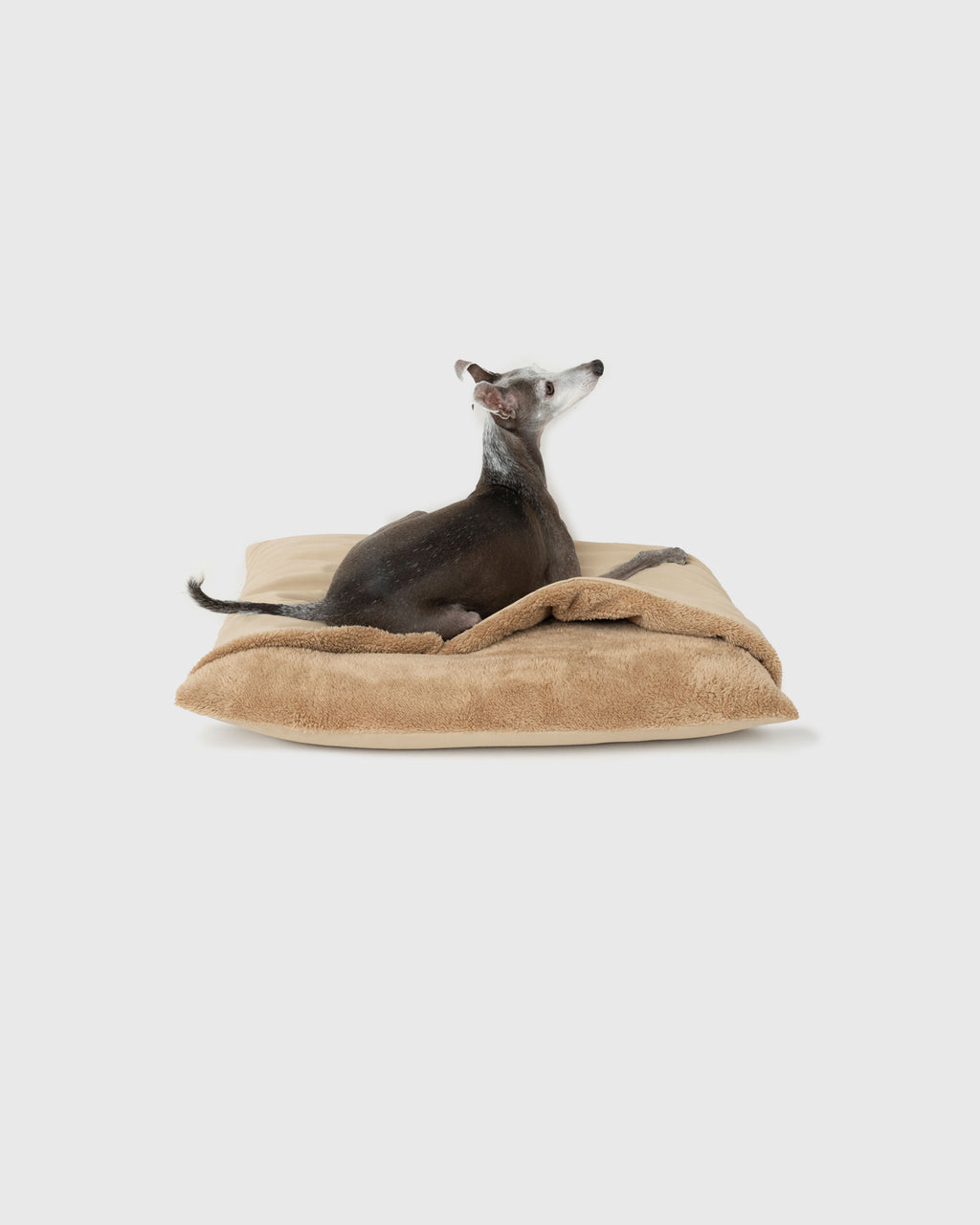 HOWLY DOG BED RIPSTOP