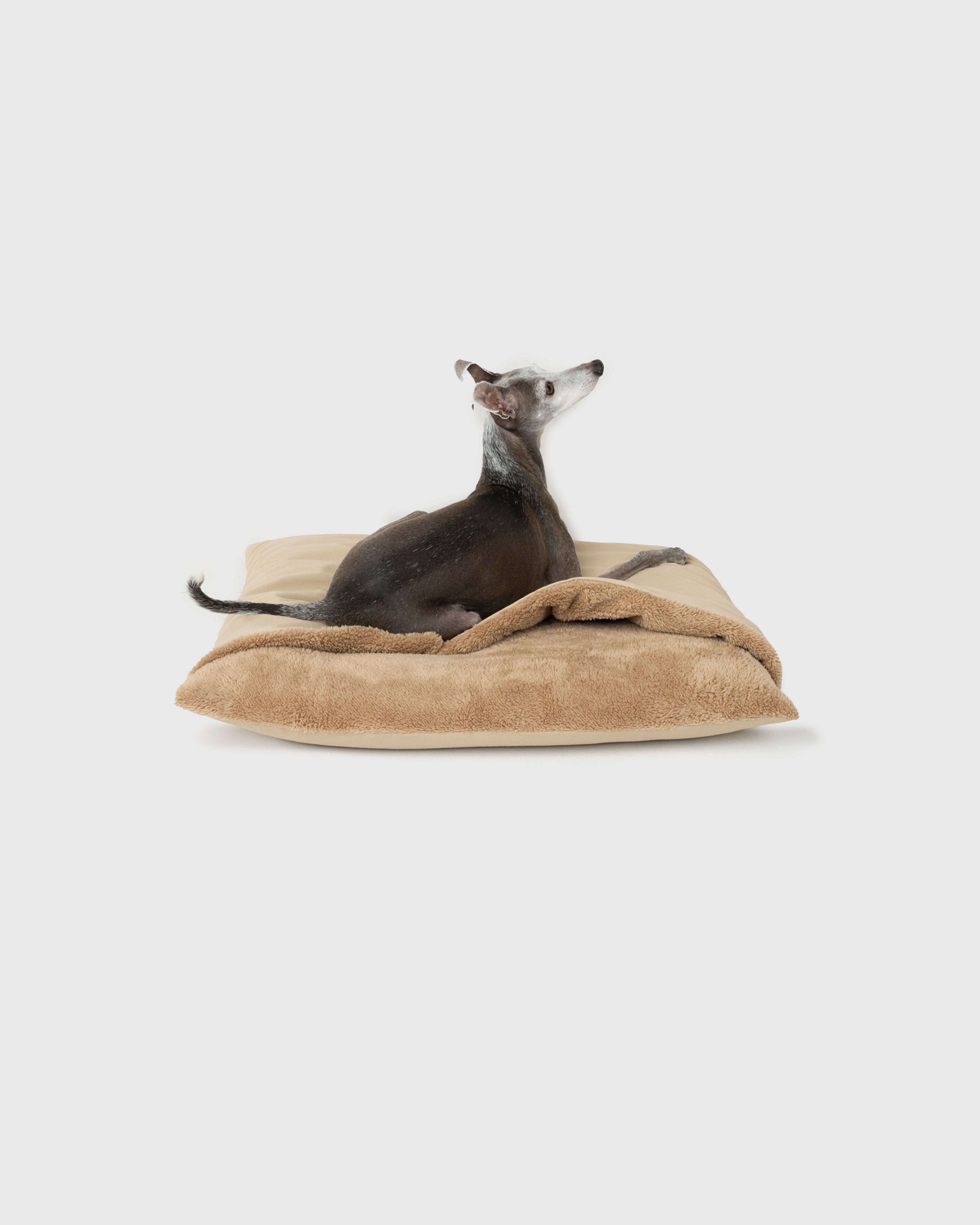 HOWLY DOG BED RIPSTOP