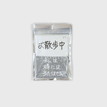 Ken Kagami