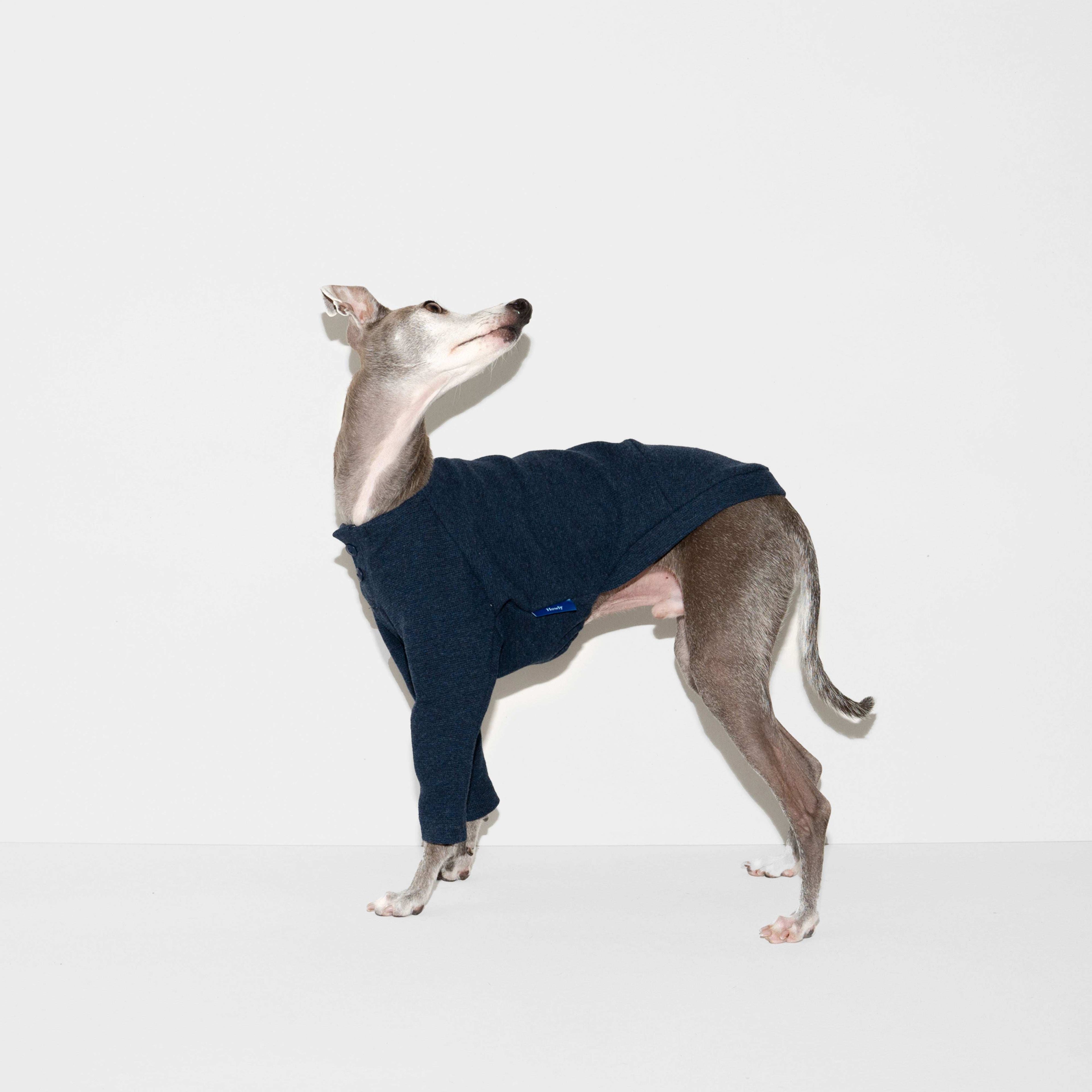 SURFKNIT HENRYNECK TOP