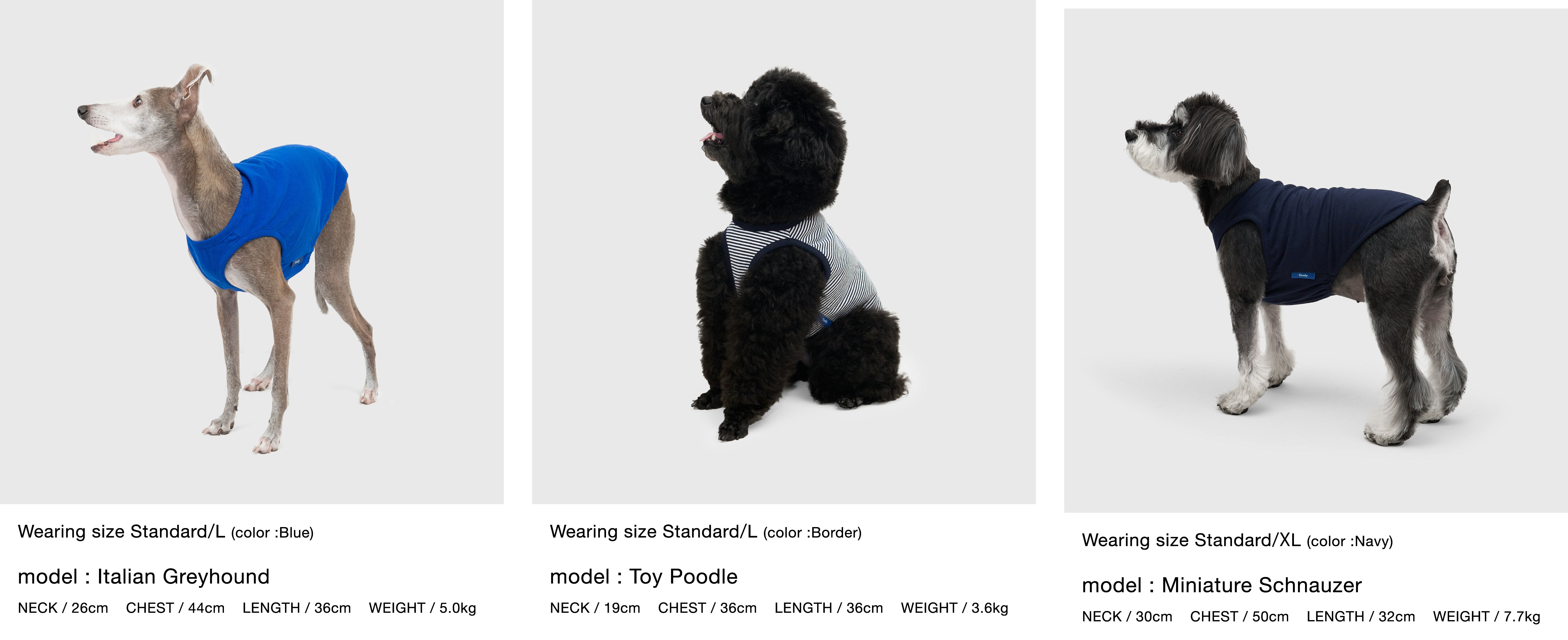 Megumi Yamazaki × DOG PACK T-SHIRTS Project (DPP) | ドッグパックT2