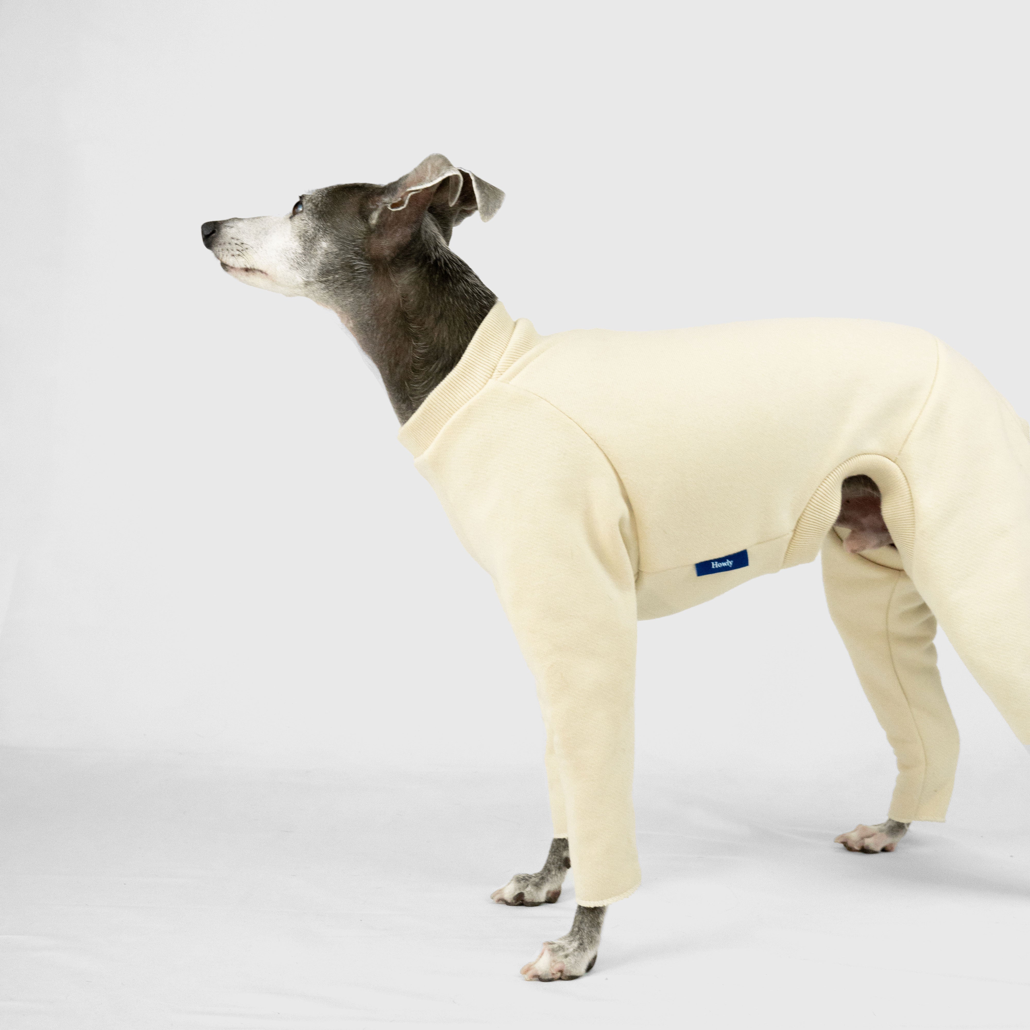 Howly Official Online Shop