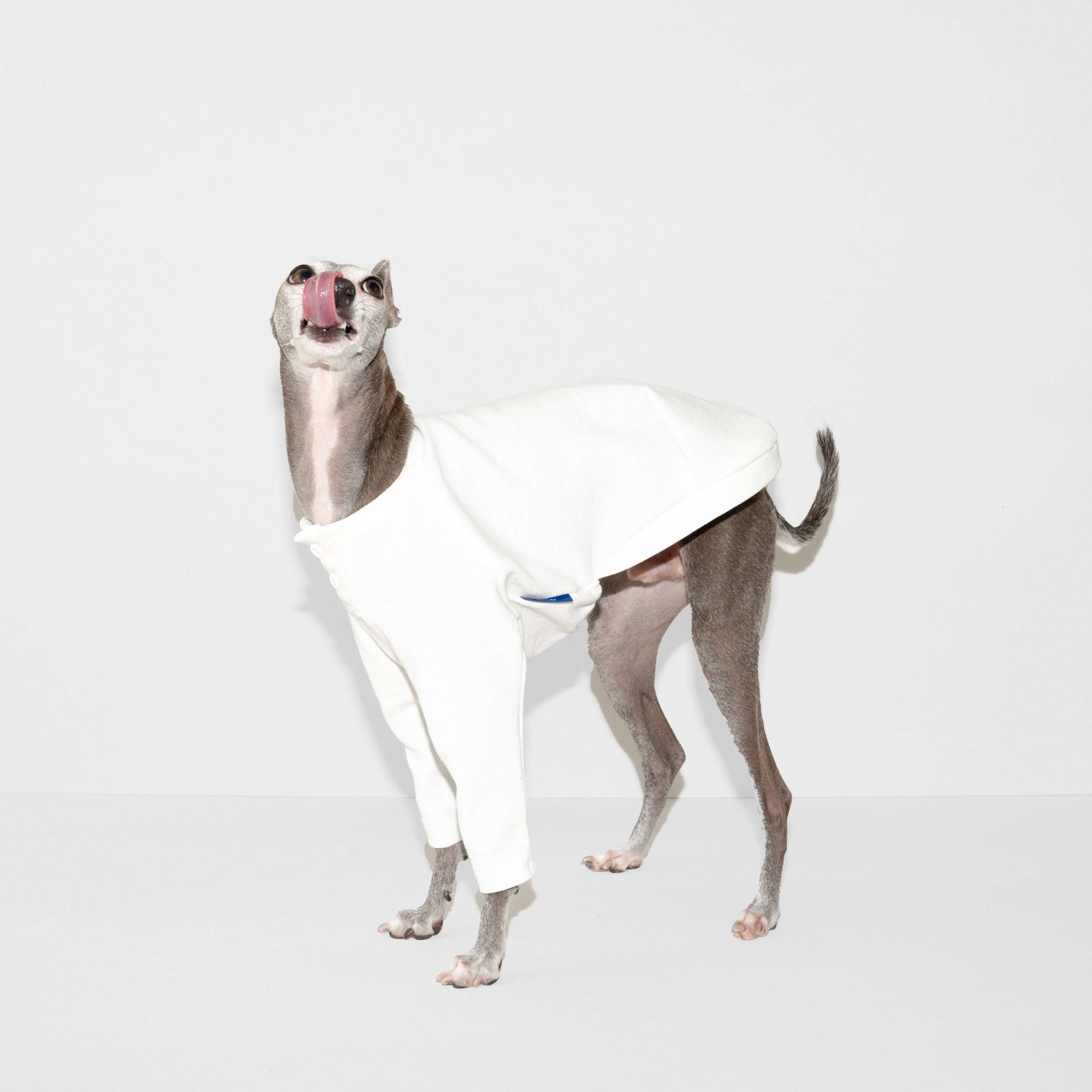 SURFKNIT HENRYNECK TOP